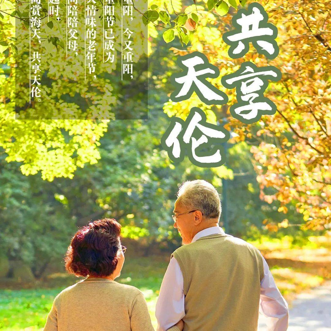 中国老年节敬爱老人关注老人海报_图片模板素材-稿定设计