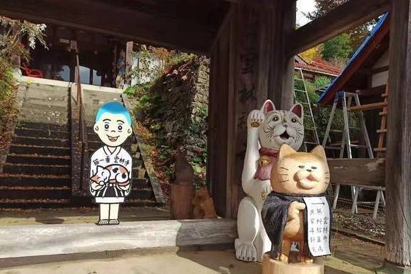 神奇的日本网红打卡地“猫寺”：日本人把猫当成神一般崇拜