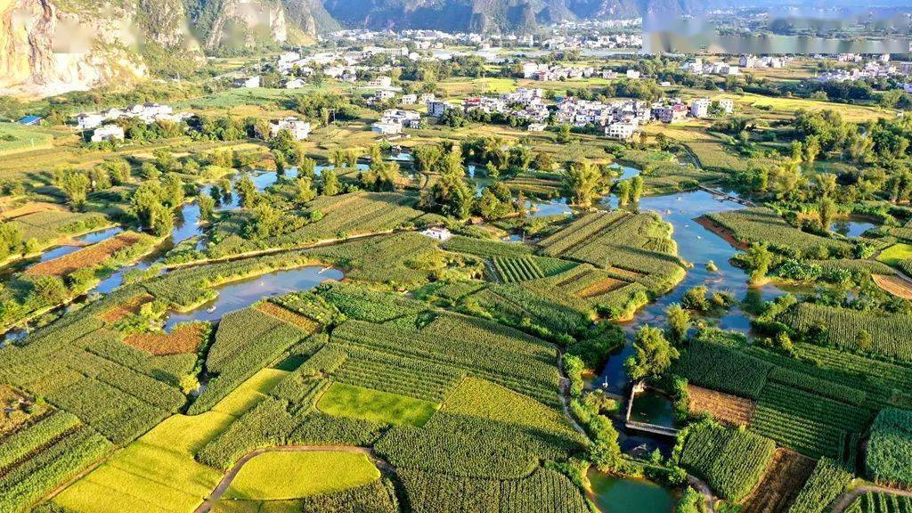 都安地苏:美丽瑶乡流淌丰收韵律_苏镇_离开_田园