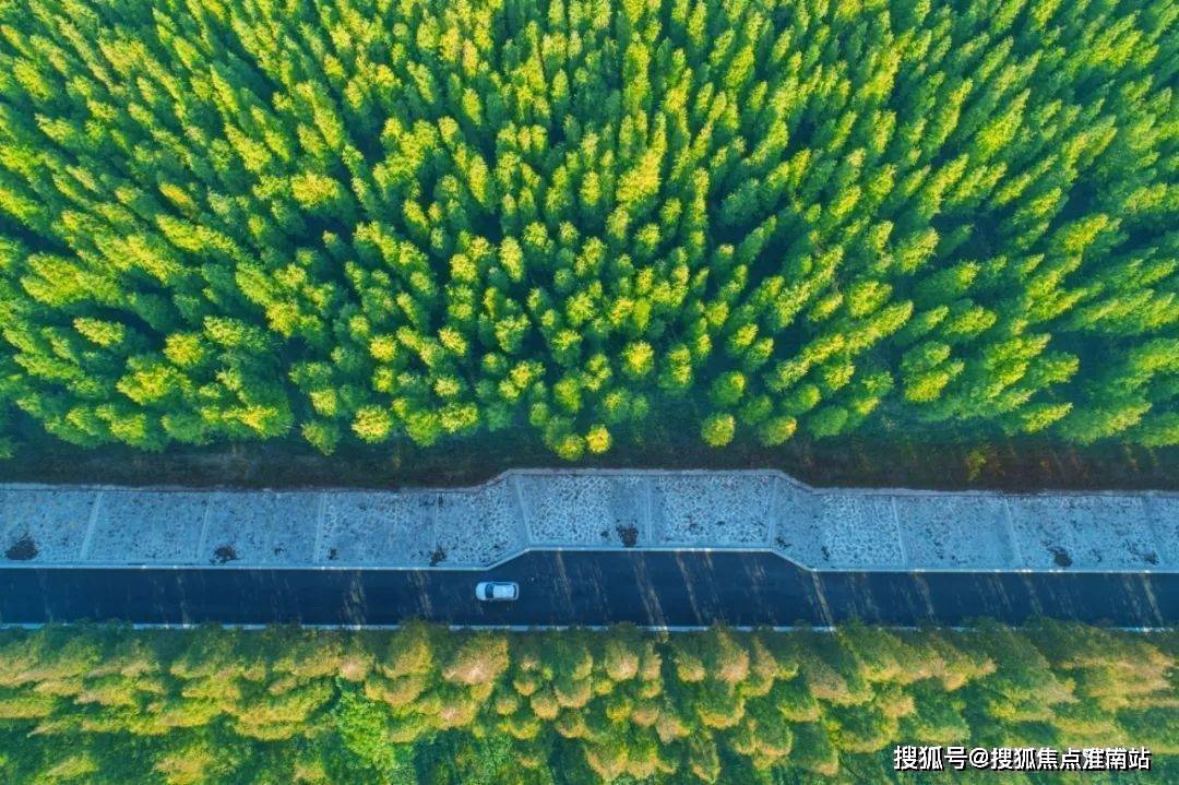 上海崇明东滩花园亮了——东滩花园大家千万别踩坑了,进来聊聊个人感受!_生活_热线_项目