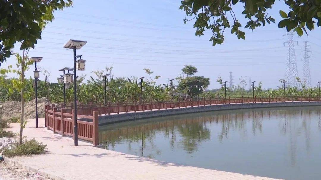 揭西县凤江镇莪萃村: 革命历史励奋进 乡村振兴焕新颜_村民_建设_联络