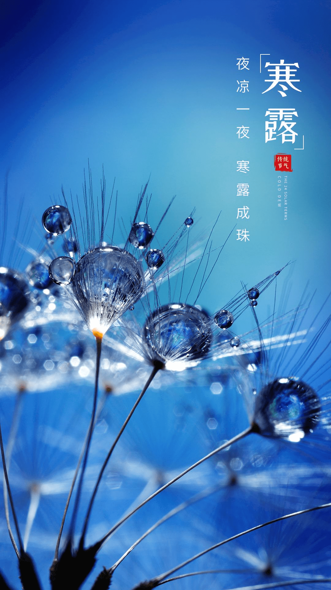 寒露海报|你有一份寒露文案图片待签收!_祝福_绵绵_问候
