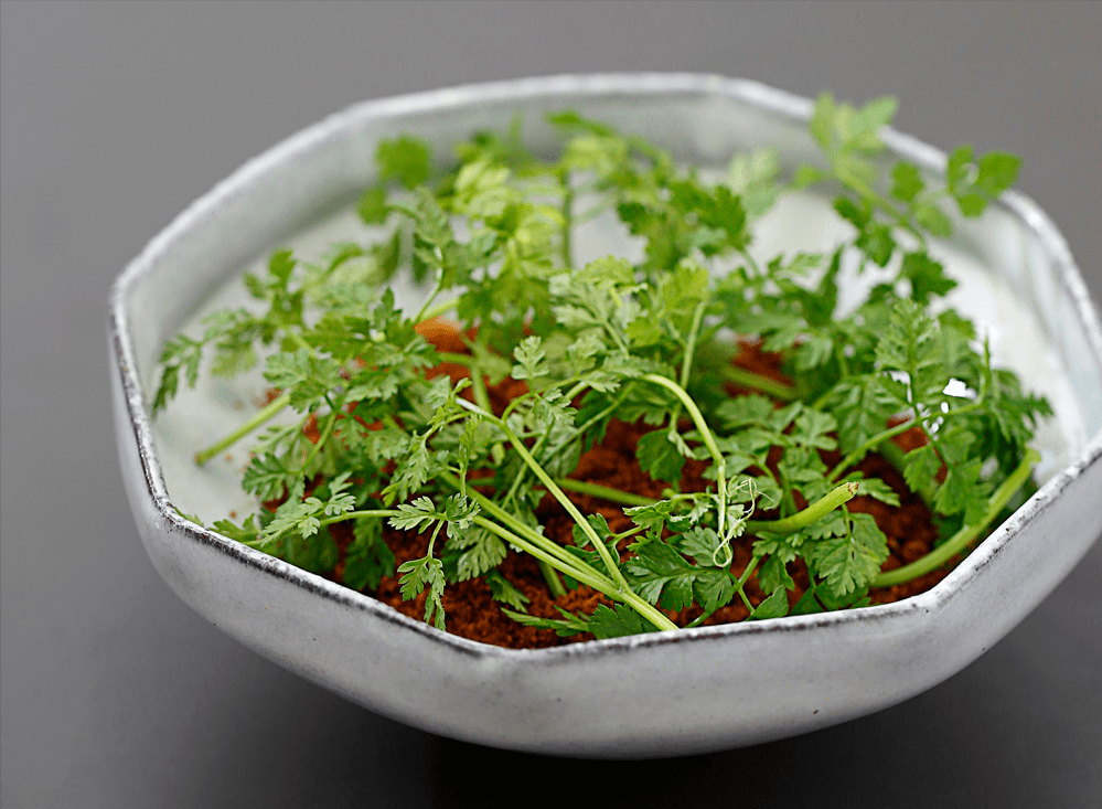 ������������ʳȫ���ԣ��̵�۶����ܻ�ӭ���������Ǽ����� ...