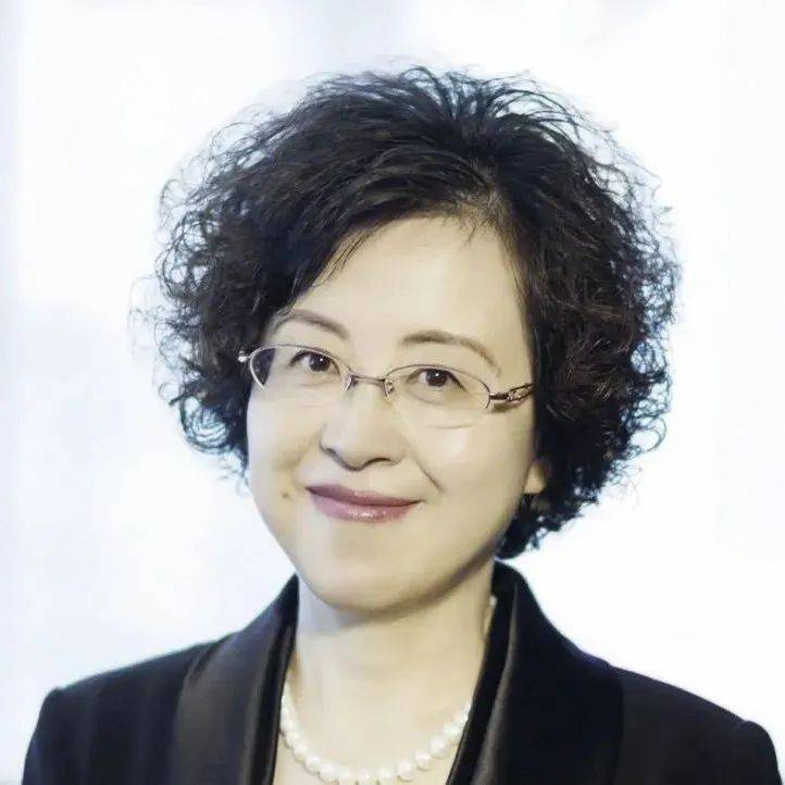 孙丽丽院士: 以多能互补的耦合体系助石化行业减碳_能源_过程_生产