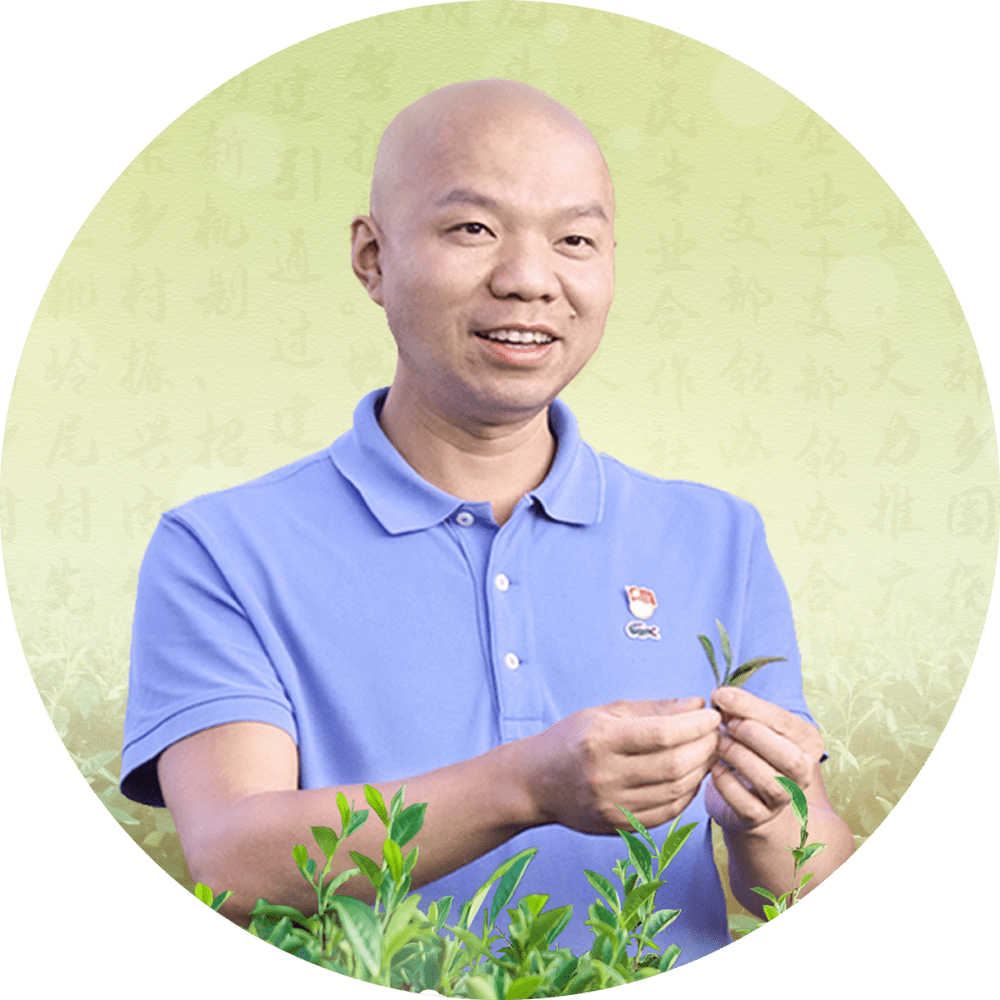 【百乡千村行·面孔】走进柘荣·城郊:文化唤醒乡土_城郊乡_袁宗昂