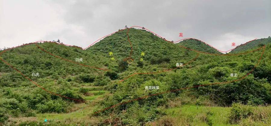 风水宝地之漂亮金星开大窝 结穴小福地_青龙_因为_例子