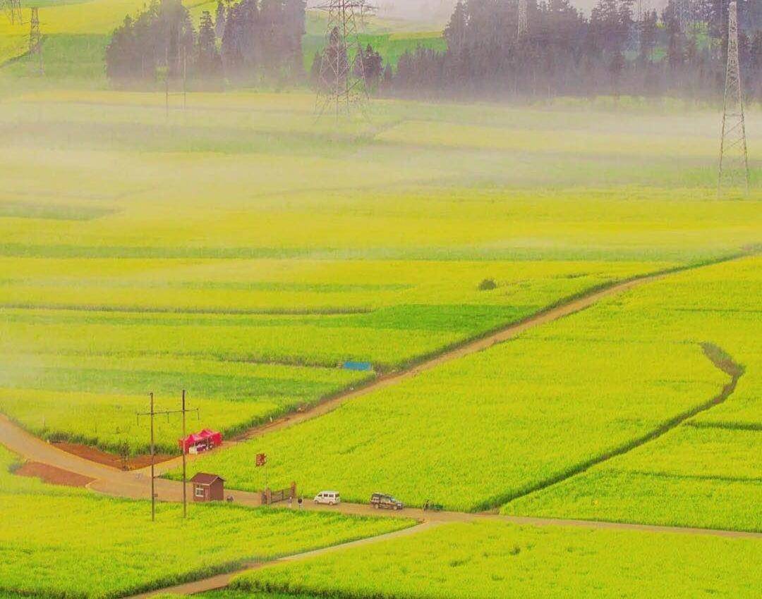 中国最美五大峰林之一，万顷油菜花照耀四方，更有绝美日出等你看