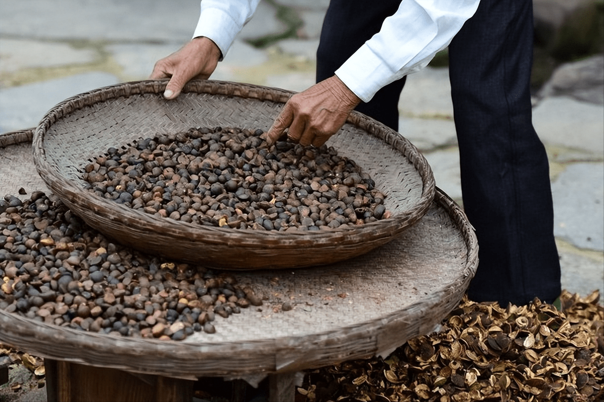 其二:制作工艺繁复,价格昂贵比起一般的食用油,山茶油的榨取比较的