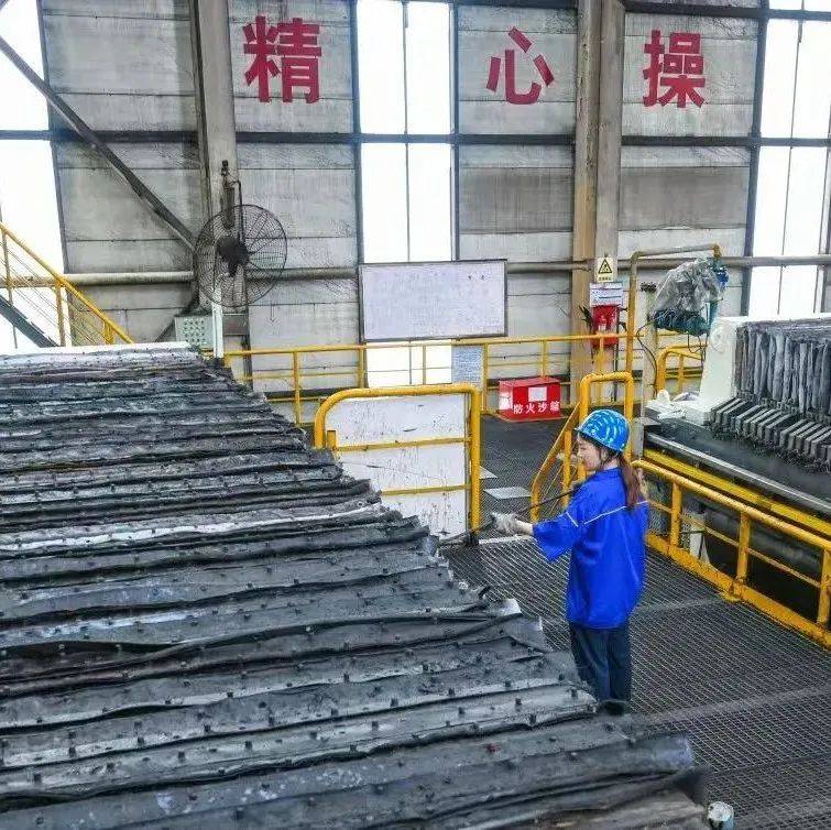 西庞洗煤厂:巧降煤泥水分 煤泥干燥提质_降低_产品_粒度