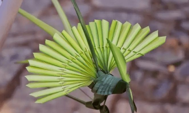 周末活动|草编蜻蜓,你值得拥有_时间_草本植物_传统