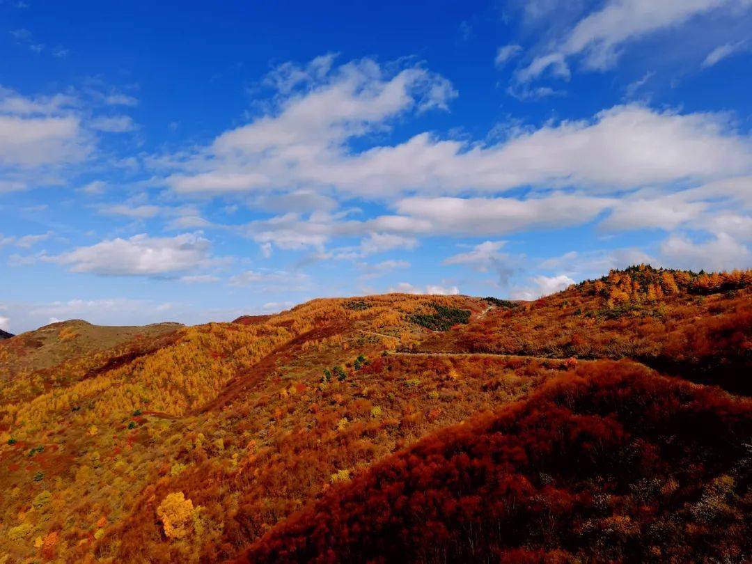 走进深秋六盘 一起观秋景!_六盘山_李忠凯_黄君