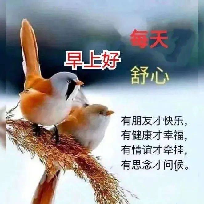 非常经典的一段话!_外表_事物_好处