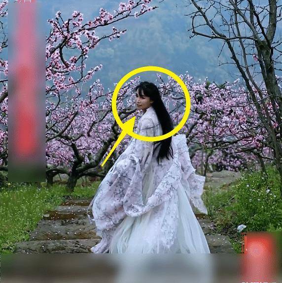 李子柒真人颜值如何?