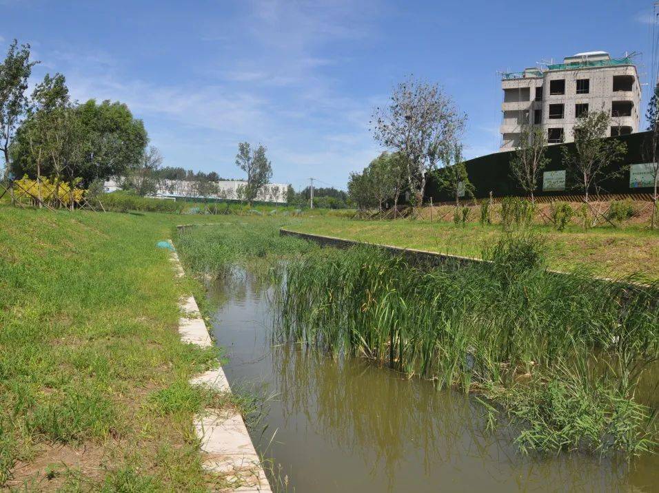 孙河组团中心湖综合治理完成啦~_生态_朝阳区_调水