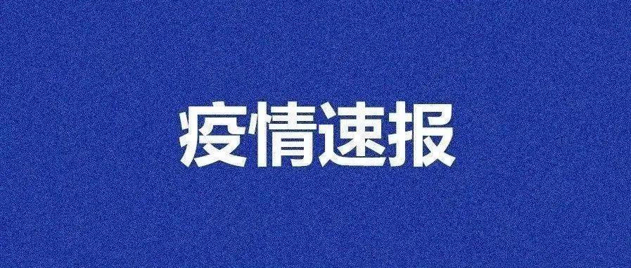 新增41例！安徽刚刚通报！ 人员 筛查 感染者