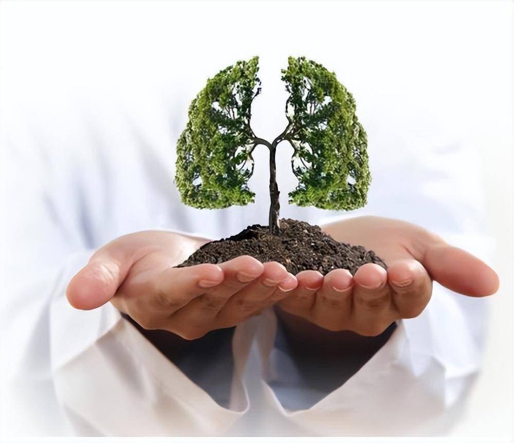 肺被称为"五脏之华盖"