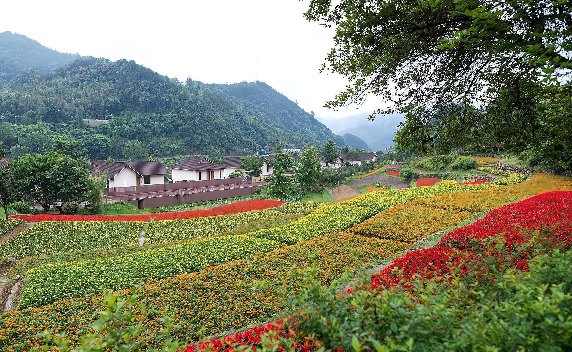5a级乡村旅游景点,藏在深山中,景色美如"人间仙境"_景区_大余县_国家