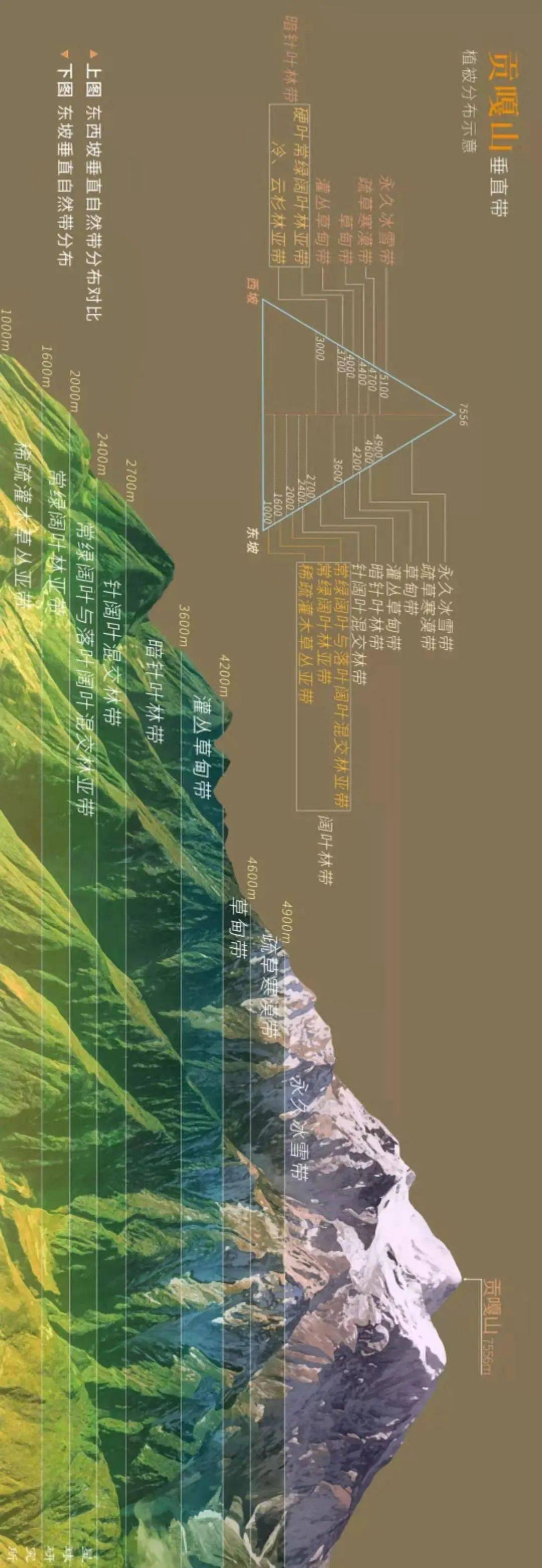 横断山区贡嘎山阿尔泰山贺兰山秦岭及其附近太行山长白山祁连山天山
