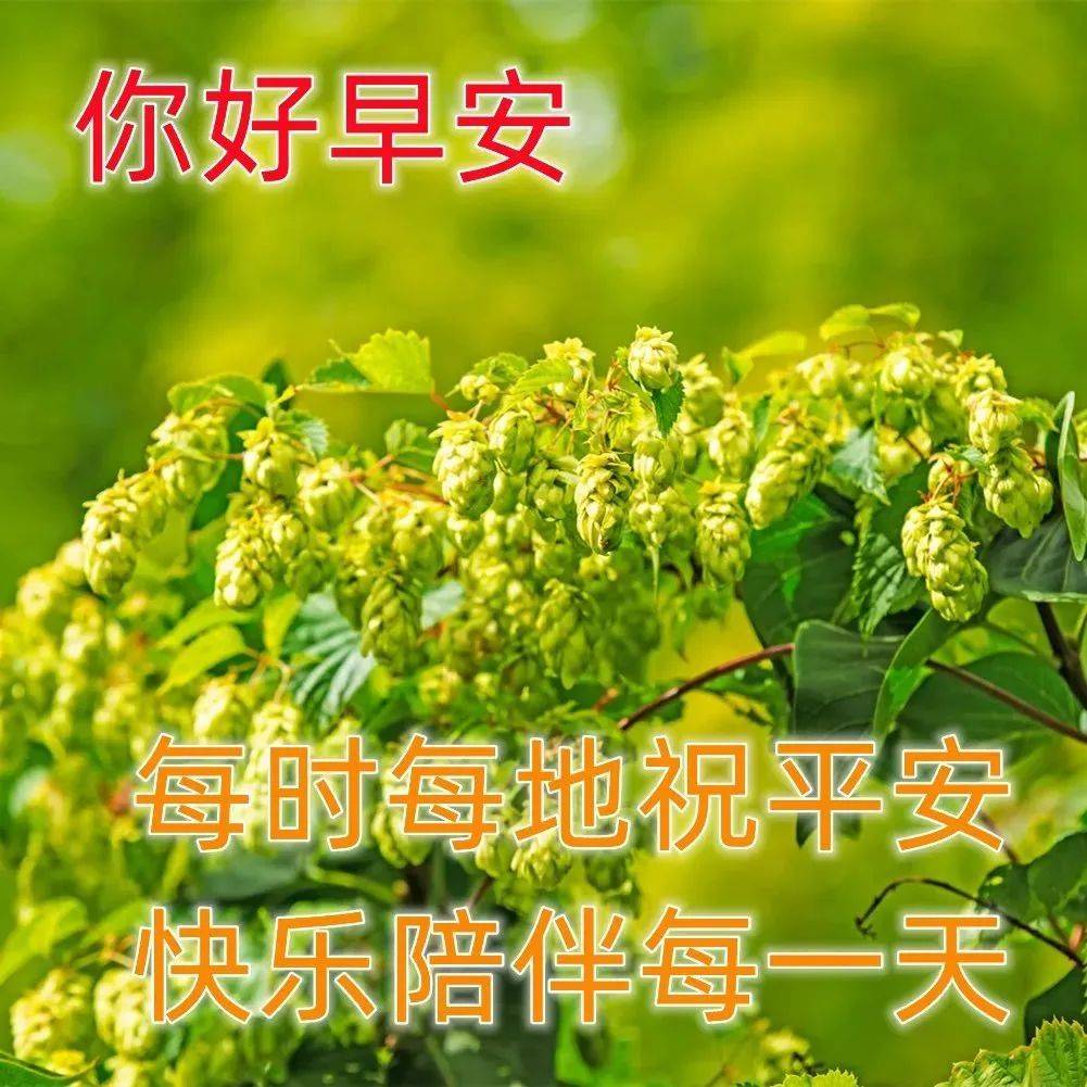 10月11日最新早上好祝福动态表情图片大全，秋天早安问候语句子！ 生活 事情 亲爱的朋友