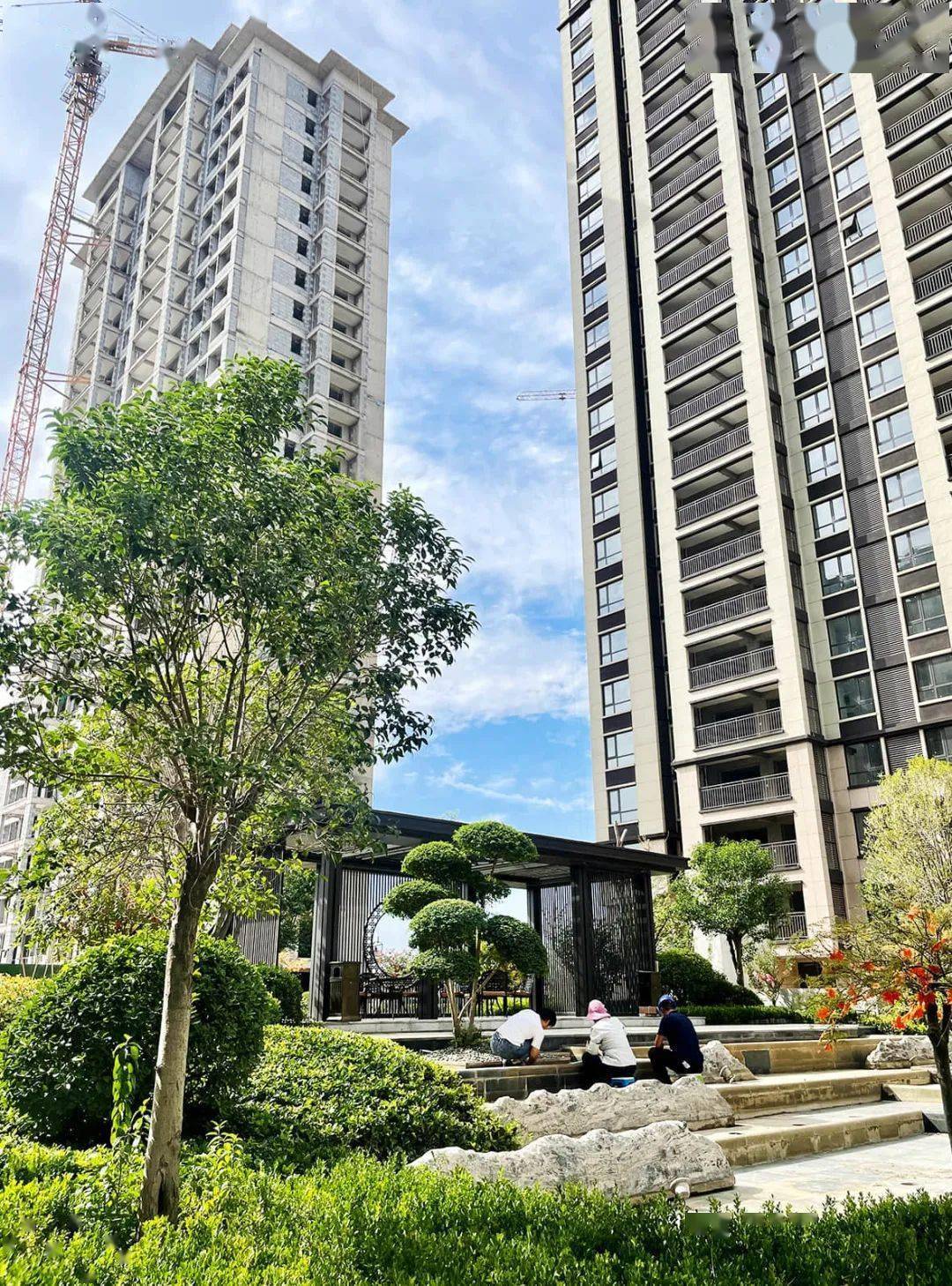 鄢陵恒达·国宾府 | 实景现房 · 一场关于美好生活的"剧透"_开发