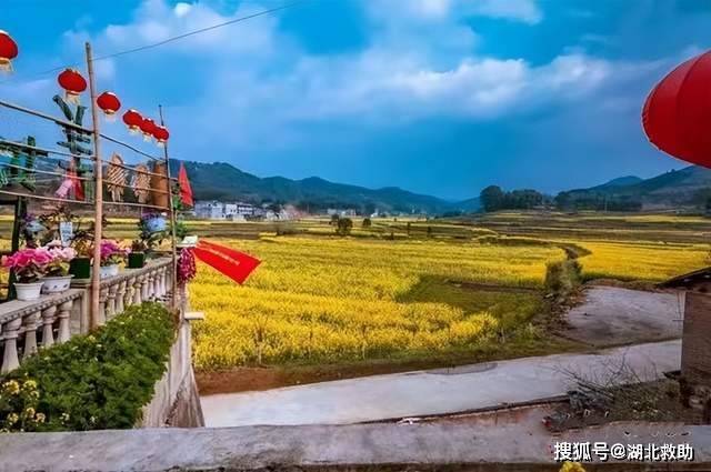 在湖北省蕲春县刘河镇花海鹭乡,产业兴,环境美,人气旺的乡村振兴壮美