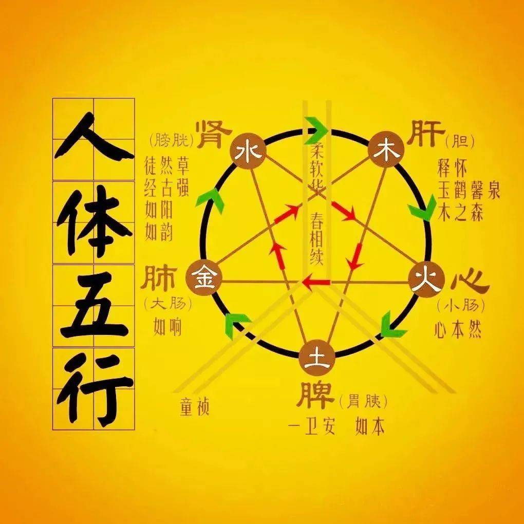 金木水火土 五行查询表_五脏_事物_因为