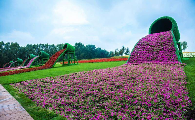 它是东北最大的薰衣草庄园，被誉为“东方普罗旺斯”，美如童话
