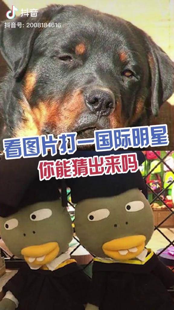 听说猜出来的都能上北大明星 谜语 猜谜语 北大_都能上_谜语_猜出来