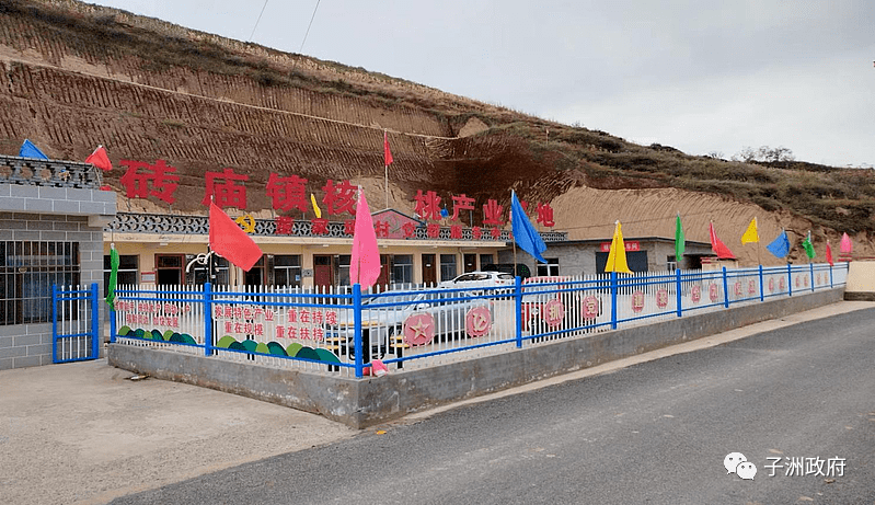 乡镇快讯 | 砖庙镇董家焉村核桃标准化示范基地_销售_收入_总面积