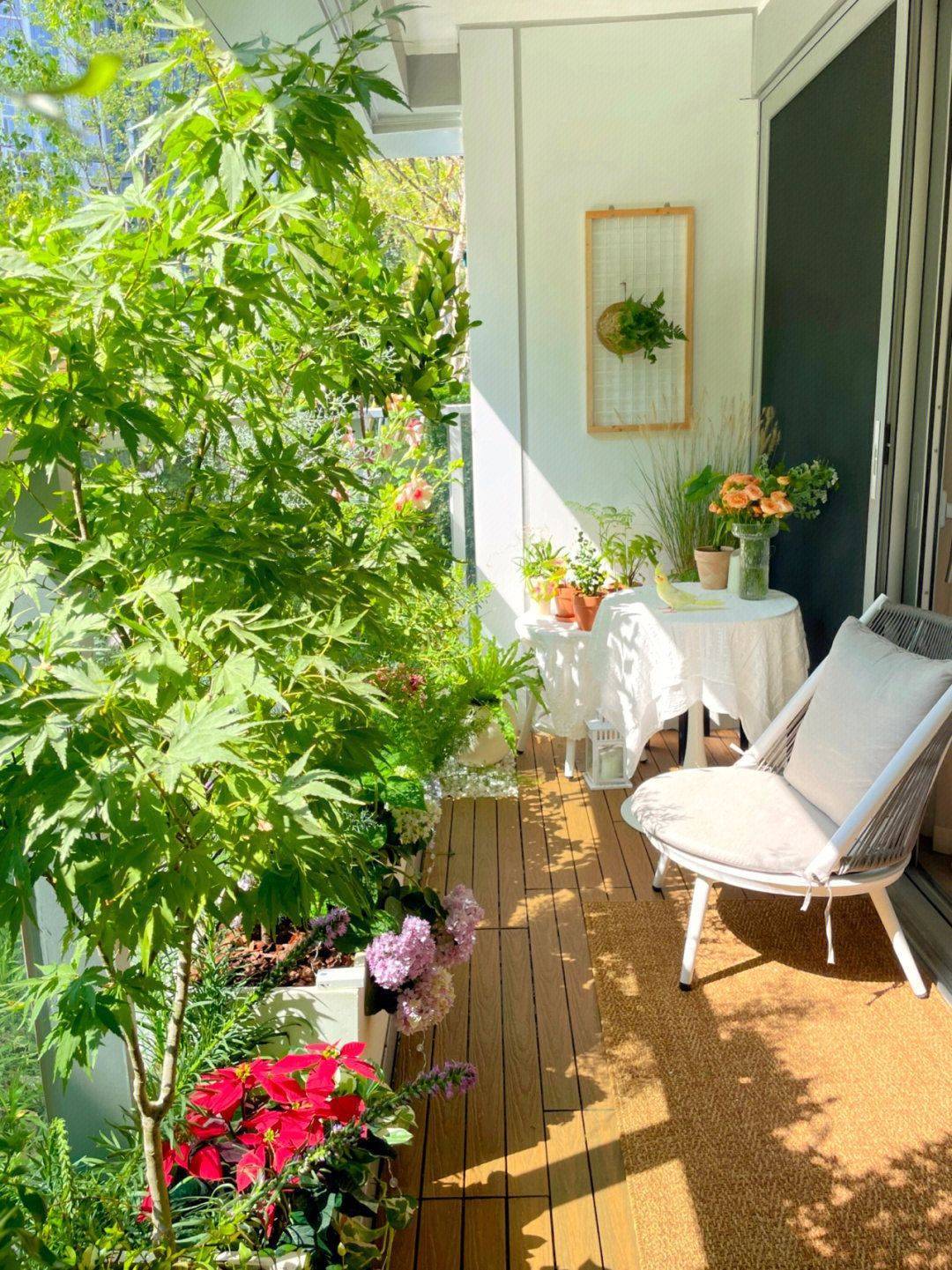 一楼开放式西阳台,改造四季有景,时时有花的小花园,赶紧造起来_绿色植
