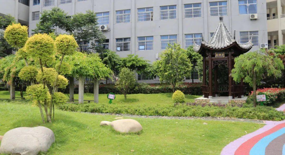 茶非遗巡展走进琅琊镇中心小学_教育_金华市_文化