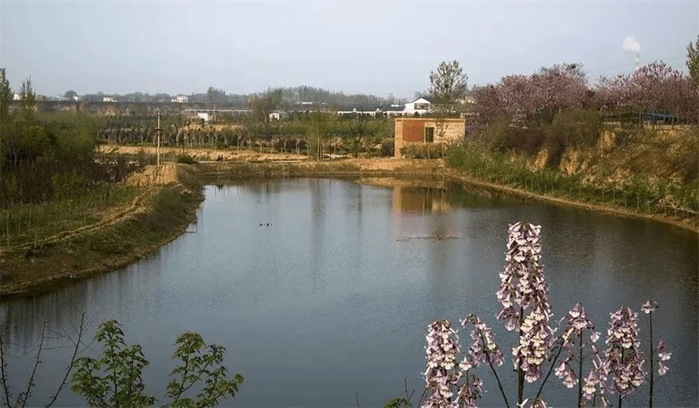 全国乡村旅游精品线路之河南篇_北堤村_黄河_文化