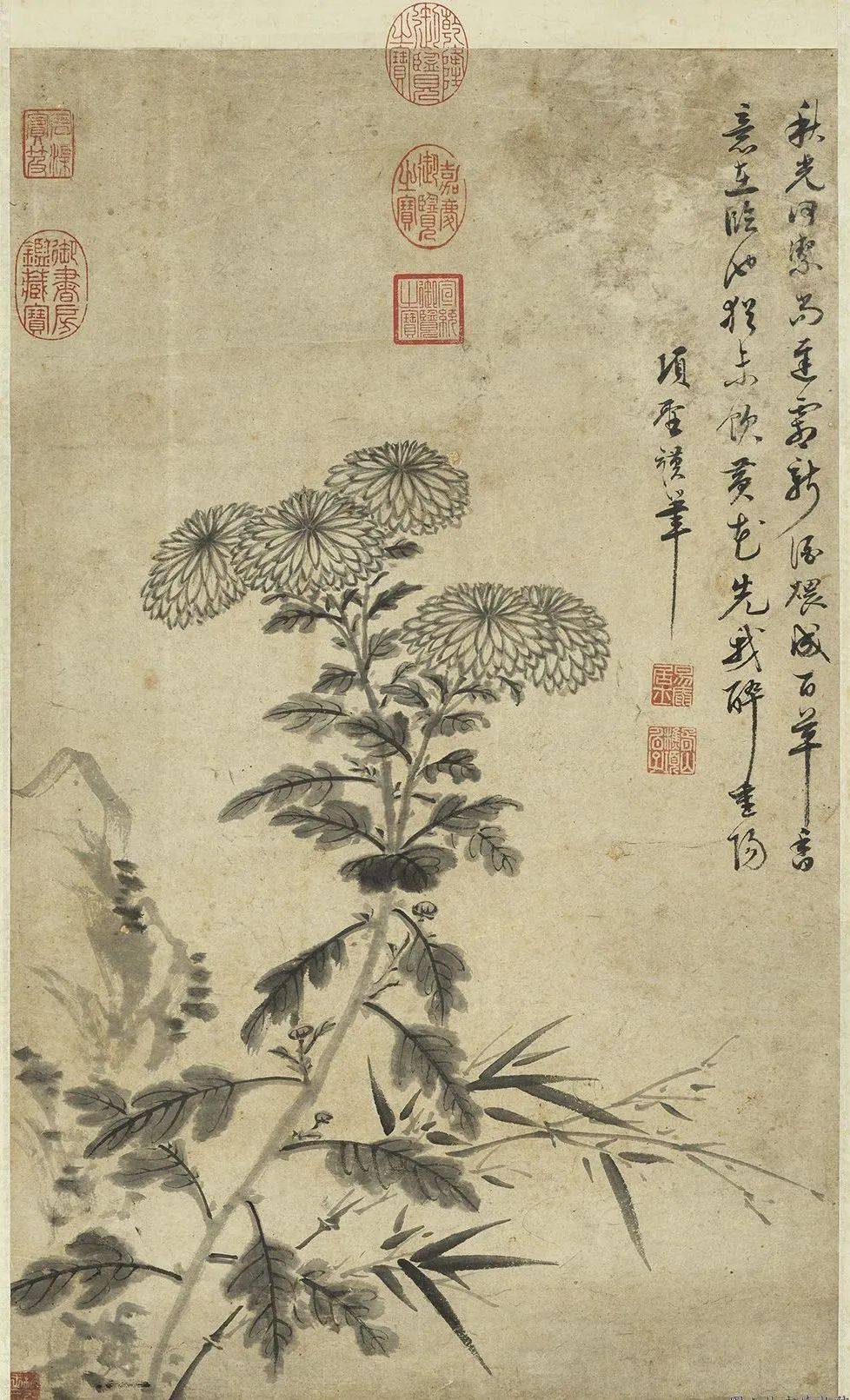 故宫藏画里的"寒露"_菊花_荷叶_明沈周