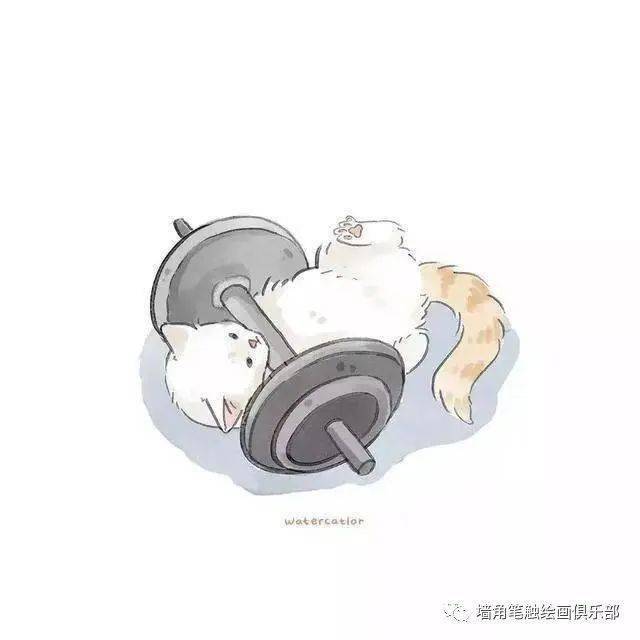 参考之资·艺‖ 猫奴画师将网红“沙雕”猫酿成插画后，胜利吸粉20万！