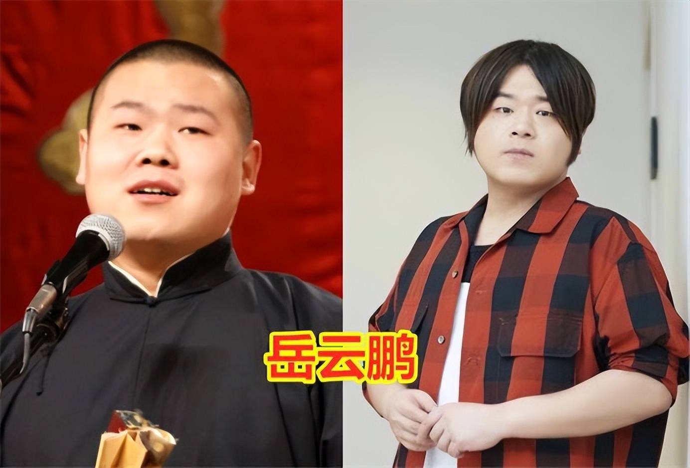 67全球11个岳云鹏"分鹏",有的在日本,有的在泰国,个个以假乱真_网友