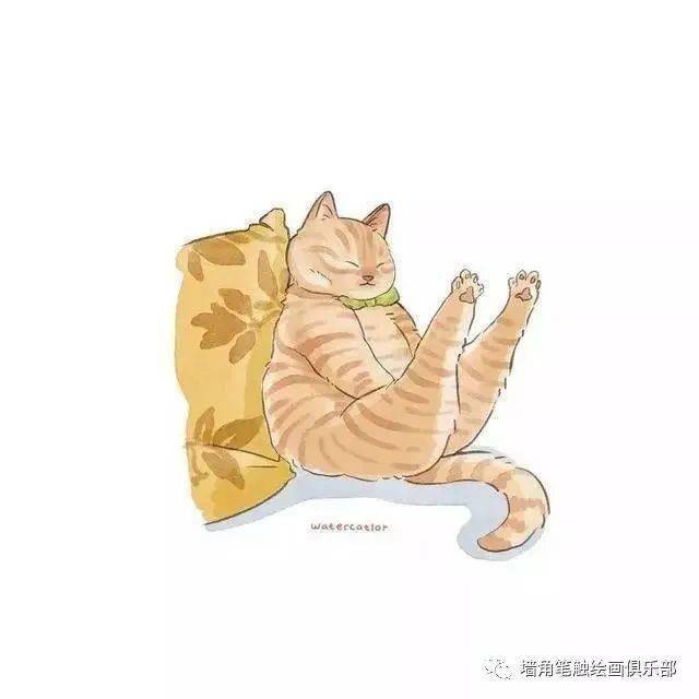 参考之资·艺‖ 猫奴画师将网红“沙雕”猫酿成插画后，胜利吸粉20万！