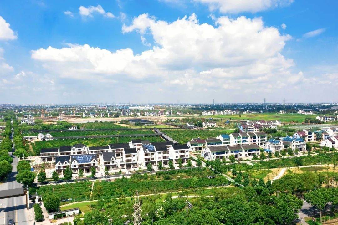 非凡十年·金山行 | 吕巷镇:湾区桃源 幸福吕巷_水果_和平村_村民