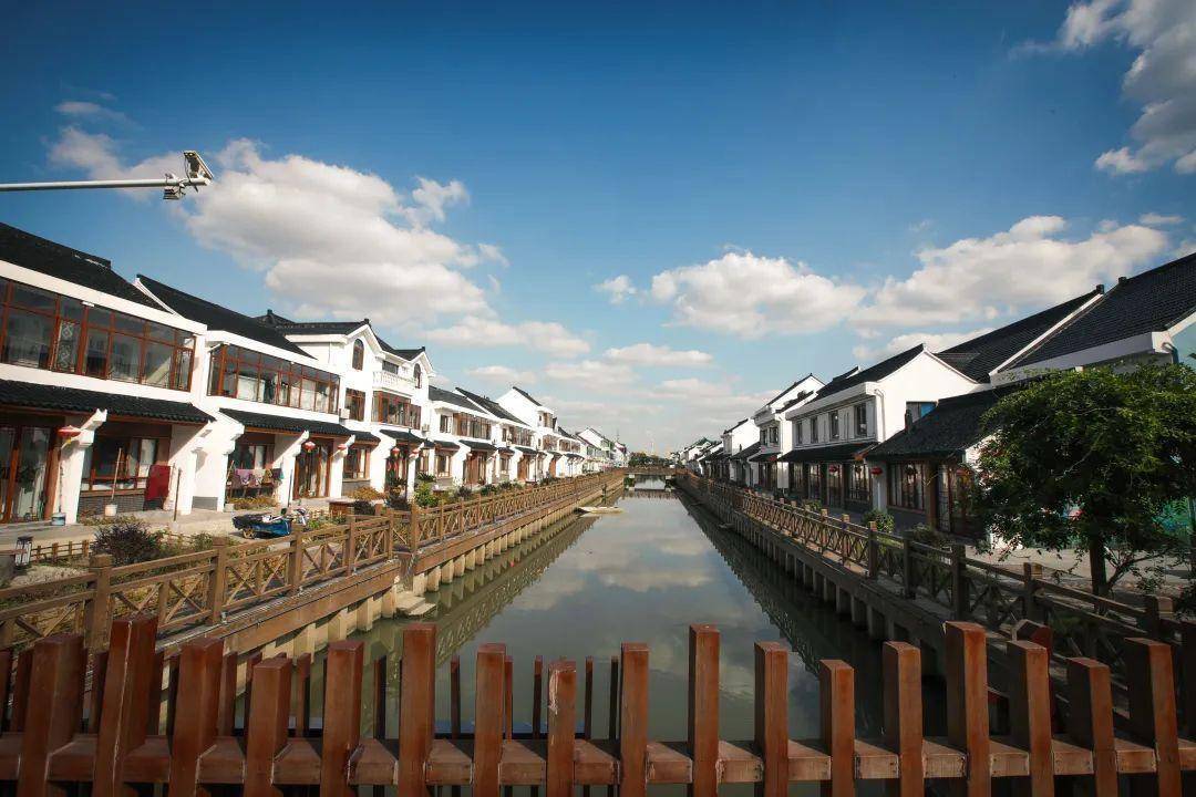 非凡十年·金山行 | 吕巷镇:湾区桃源 幸福吕巷_水果_和平村_村民