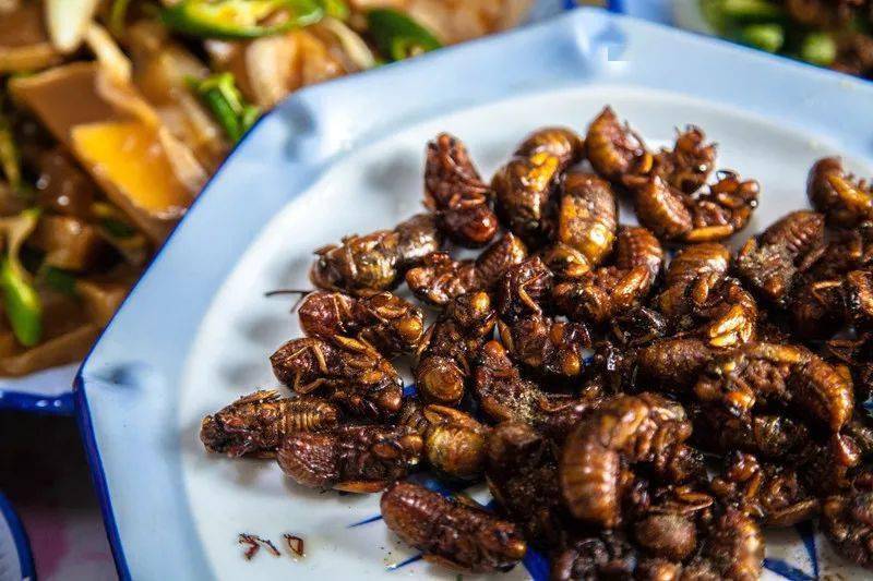 不同的叫法,济南叫"哨却","知了猴子",德州人叫"知了鬼",烟台叫"马猴"