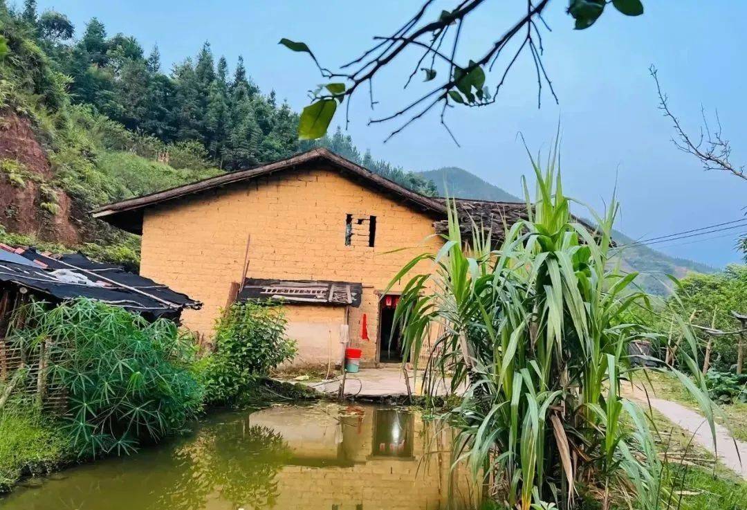 茂名一网友晒出自己农村老家房子,竟获得无数网友点赞?