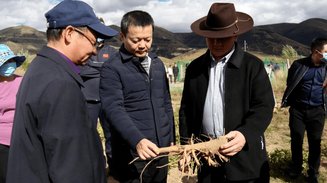 理塘县县长图片