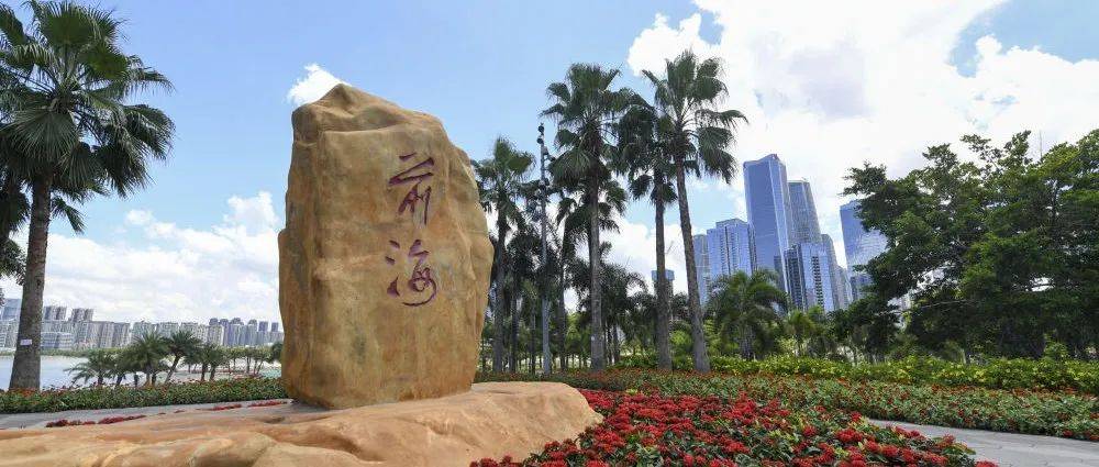 深圳：从先行先试走向先行示范_湾区_发展_特区