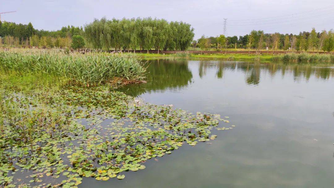 三假如说张民表把黄河作为"灵河"的意象而写入《红