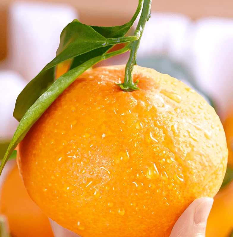 【爱媛果冻橙】皮薄肉嫩,汁水丰盈~仅19.9元=小果8粒;33.