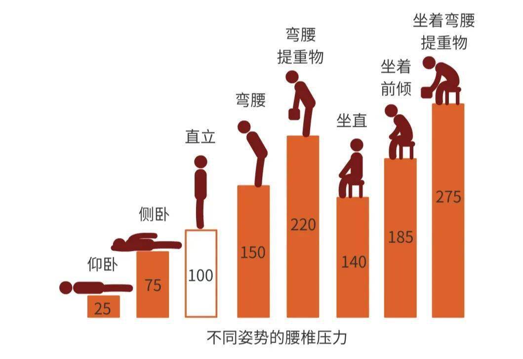 人体脊椎图 平躺图片