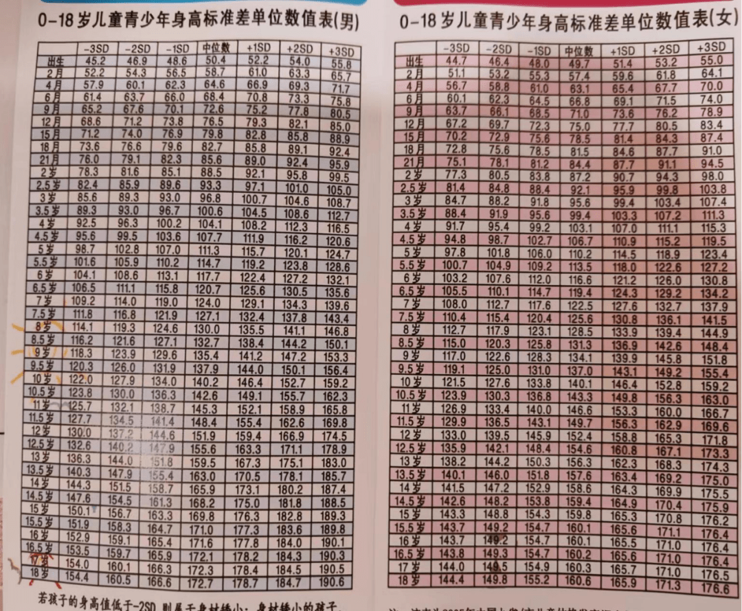 男孩性特征发育时间表图片