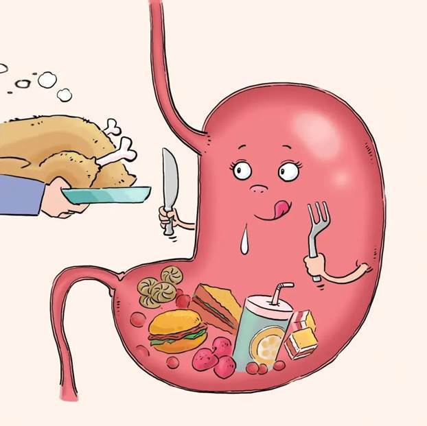 我们就借助磁控胶囊胃镜的"火眼金睛"给爱"变脸"的胃拍一组表情包吧!