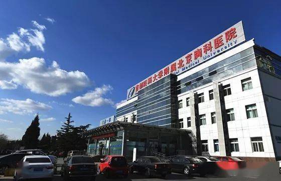 关于北京胸科医院支持医院取号全程跑腿!的信息