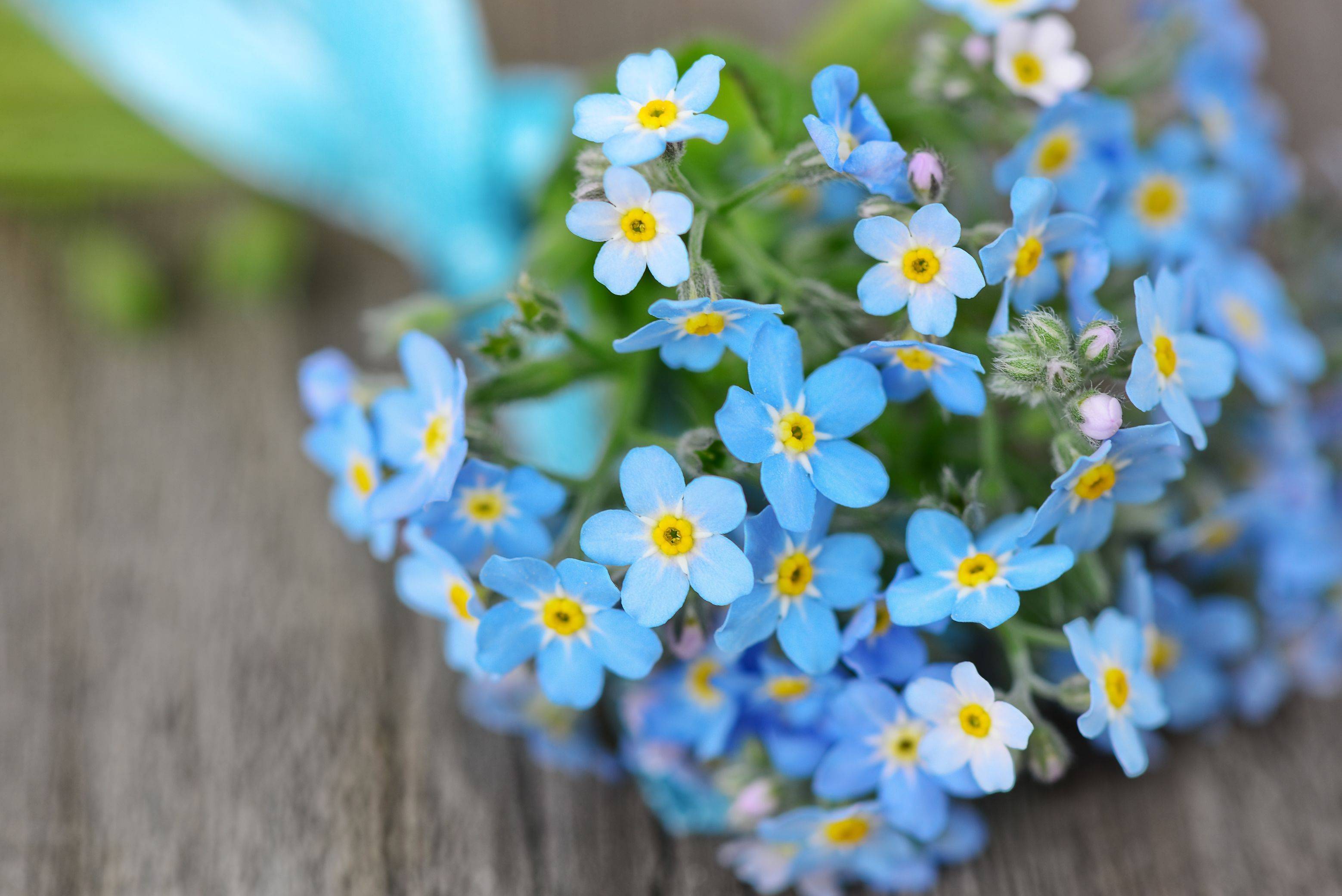 金粉世家 原著 不主动给你这几样东西的男人 多半没动深情 金燕西 冷清秋 白秀珠