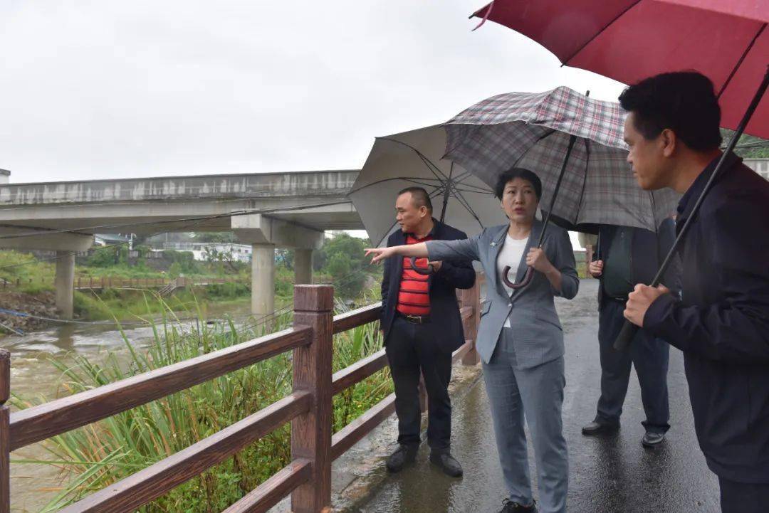 凌云开展巡河并检查防风防汛工作_屯昌_河湖_养殖